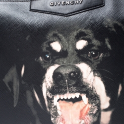 Pre Owned Givenchy Black Coated Canvas Rottweiler Face Clutch
