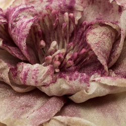 مملوكة مسبقًا بروش غوتشي وردة حرير بنفسجي وأبيض