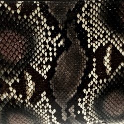 Pre Owned Gucci Brown Python Sienna Tassel Clutch