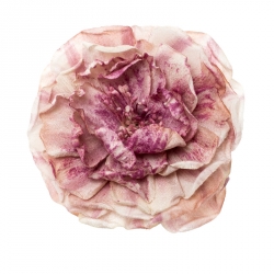 Pre Owned Gucci Purple And White Silk Flower Silver Tone Brooch