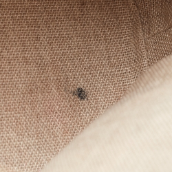 Pre Owned Gucci Red Microguccissima Leather Mini Nice Dome Bag