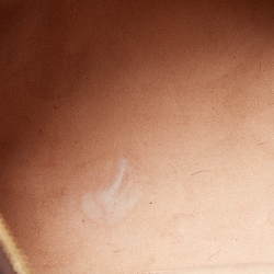 مملوكة مسبقًا Gucci Multicolor Animal Printed Coated Canvas and Leather Joy Boston Bag