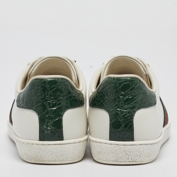 مملوكة مسبقًا Gucci White/Green Leather and Crocodile  Ace Web Sneakers Size 38