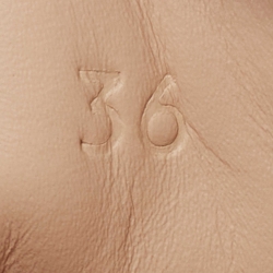 Pre Owned Gucci Beige/Brown GG Supreme Canvas Ace Web Low Top Sneakers Size 36