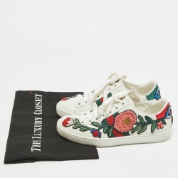 Gucci White Leather Ace Web Low Top Sneakers Size 34