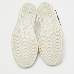 Gucci White Leather Ace Web Low Top Sneakers Size 34