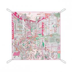 Pre Owned Hermes Scarf Display System