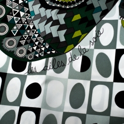 Pre Owned Hermes Green Les Ailes de la Soie Printed Silk Twill Square Scarf