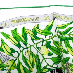 Pre Owned Hermes White La Promenade De Platon Printed Silk Scarf