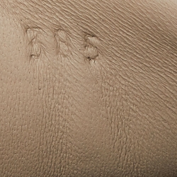 مملوكة مسبقًا Hermes Beige Suede Bouncing Sneakers Size 38.5