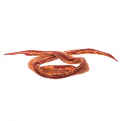 Hermes Orange Les Sources De La Vie Printed Plisse Silk Diamond Scarf