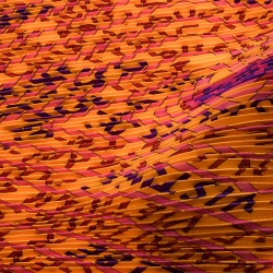 Hermes Orange Les Sources De La Vie Printed Plisse Silk Diamond Scarf