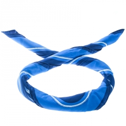 Pre Owned Hermes Vintage Blue Tigre Royal Printed Silk Square Scarf