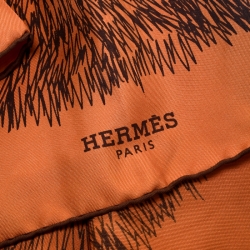 Pre Owned Hermes Orange Silk Grass Printed Scarf