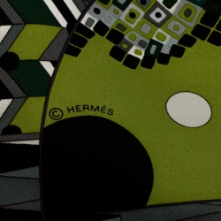 Pre Owned Hermes Green Les Ailes de la Soie Printed Silk Twill Square Scarf