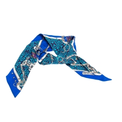Pre Owned Hermès Blue Equestrian Print Silk Twilly Scarf