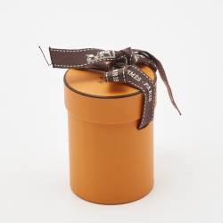 Pre Owned Hermes Teal Green Tapis Persans Silk Twilly 