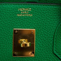 Hermes Bambou Clemence Leather Gold Hardware Birkin 35 Bag