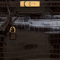 Hermes Dark Marron Porosus Crocodile Gold Hardware Birkin 35