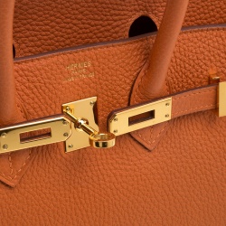 Pre Owned Hermes Orange Togo Leather Gold Hardware Birkin 25 Bag
