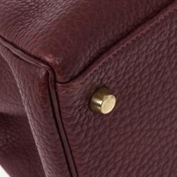 Hermes Prune Negonda Calfskin Kelly 35