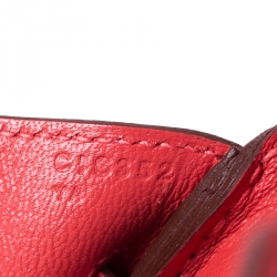 Hermes Rouge Pivoine Togo Leather Gold Hardware Birkin 30 Bag