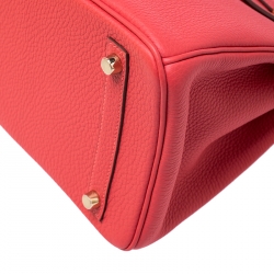 Hermes Rouge Pivoine Togo Leather Gold Hardware Birkin 30 Bag