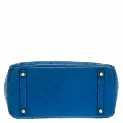 Hermès Mykonos Blue Ostrich Gold Hardware Birkin 30 Bag