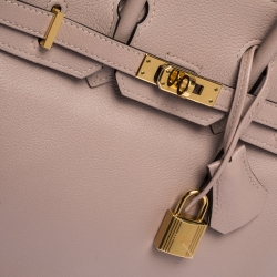 Hermes Glycine Evercolor Leather Gold Hardware Birkin 25 Bag