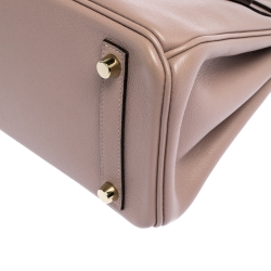 Hermes Glycine Evercolor Leather Gold Hardware Birkin 25 Bag