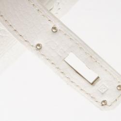 Hermes White Clemence Birkin 30