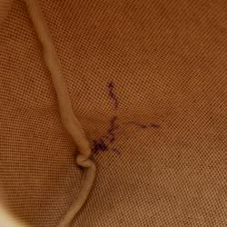 Pre Owned Hermes Brown Canvas Leather Herbag MM