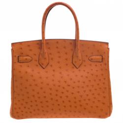 Hermes Tangerine Ostrich Leather Gold Hardware Birkin 30 Bag