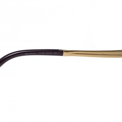 Jimmy Choo Brown/Brown Gradient Beatrix Oversize Sunglasses