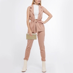 Pre Owned Jimmy Choo Gold/Silver Lurex Fabric Cayla Clutch