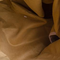 Pre Owned Louis Vuitton Rose Angelique Monogram Vernis Brea MM Bag