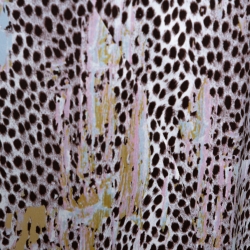 Just Cavalli Dusty Pink Leopard Print Satin Flared Maxi Skirt S 