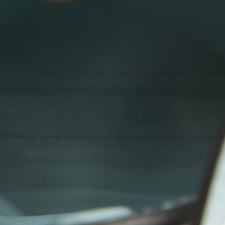 Pre Owned Loewe Aqua Leather Elephant Pocket Phone Holder Bag