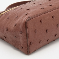 Pre Owned Loro Piana Brown Ostrich L19 Pouch
