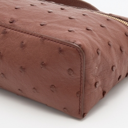 Pre Owned Loro Piana Brown Ostrich L19 Pouch