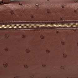 Pre Owned Loro Piana Brown Ostrich L19 Pouch