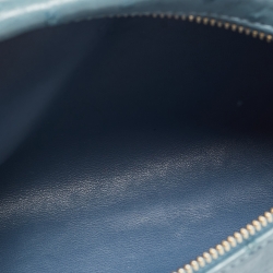 Pre Owned Loro Piana Teal Ostrich Zip L19 Pouch