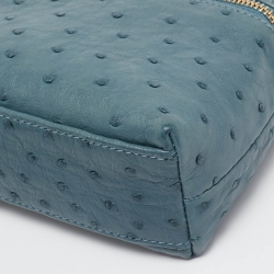 Pre Owned Loro Piana Teal Ostrich Zip L19 Pouch
