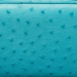 Pre Owned Loro Piana Light Blue Ostrich Leather Double Zip Clutch