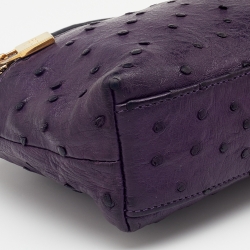 Pre Owned Loro Piana Purple Ostrich Zip L19 Pouch