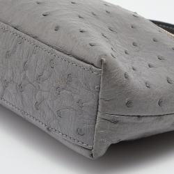 Pre Owned Loro Piana Grey Ostrich Leather Zip L19 Pouch