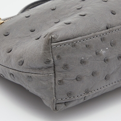 Pre Owned Loro Piana Grey Ostrich Leather Zip L19 Pouch