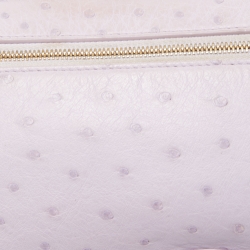 Pre Owned Loro Piana Lilac Ostrich L19 Pouch Bag