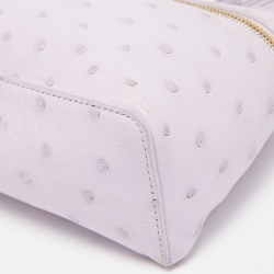 Pre Owned Loro Piana Lilac Ostrich L19 Pouch Bag