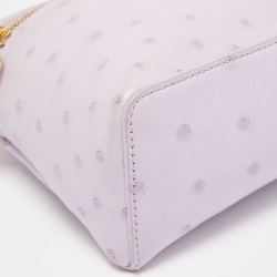 Pre Owned Loro Piana Lilac Ostrich L19 Pouch Bag